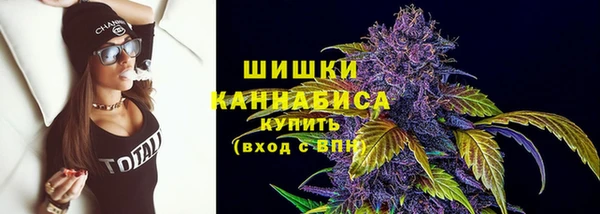 ECSTASY Кукмор