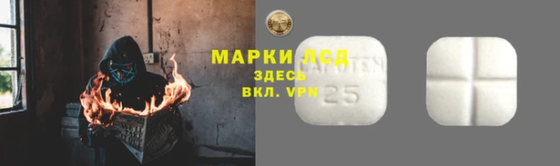 ECSTASY Кукмор