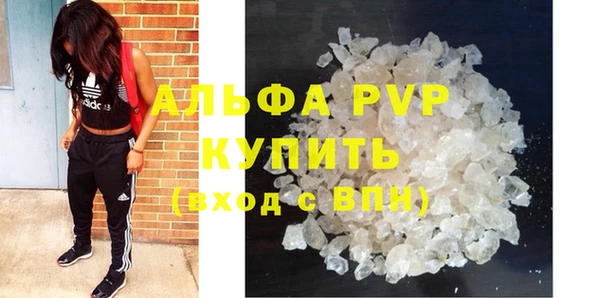 spice Куйбышев